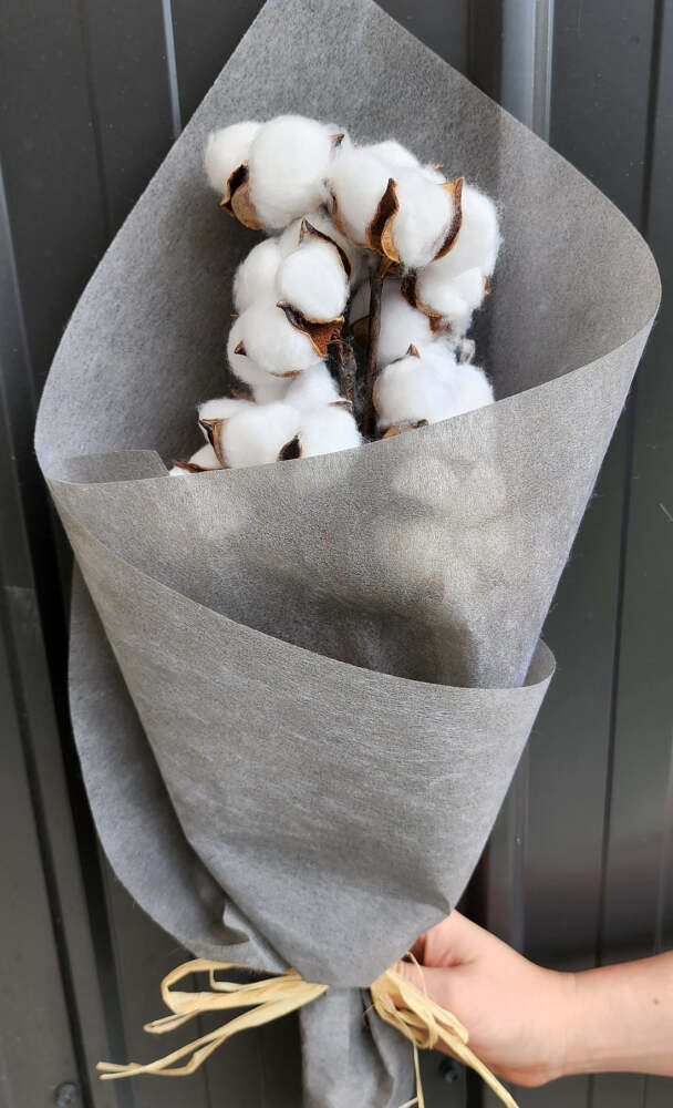 Cotton Heads Dried Flowers | Caloundra Florist